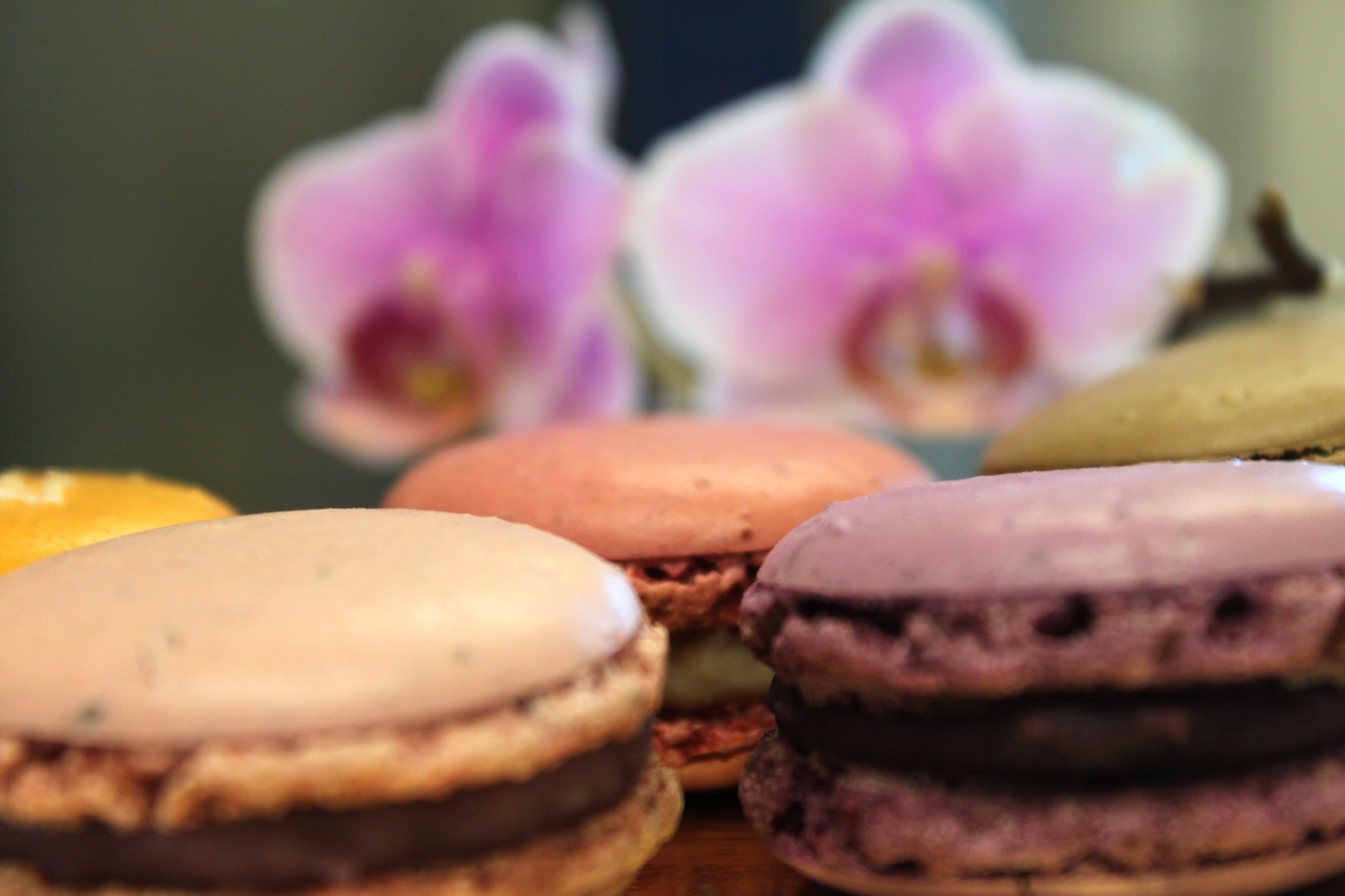 Organic Flower 6-French Macaron Assortment
