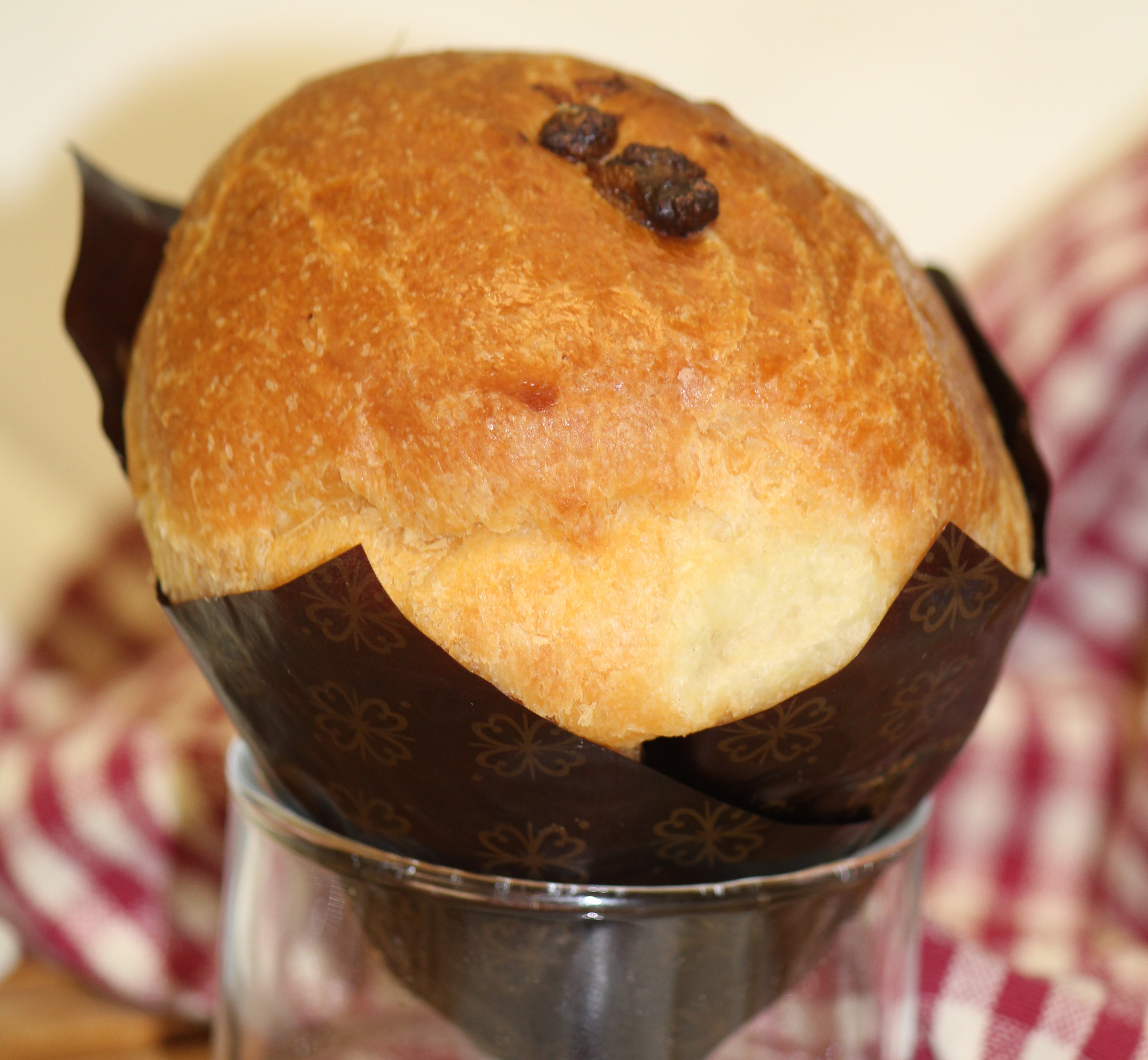Organic Chocolate Briochette