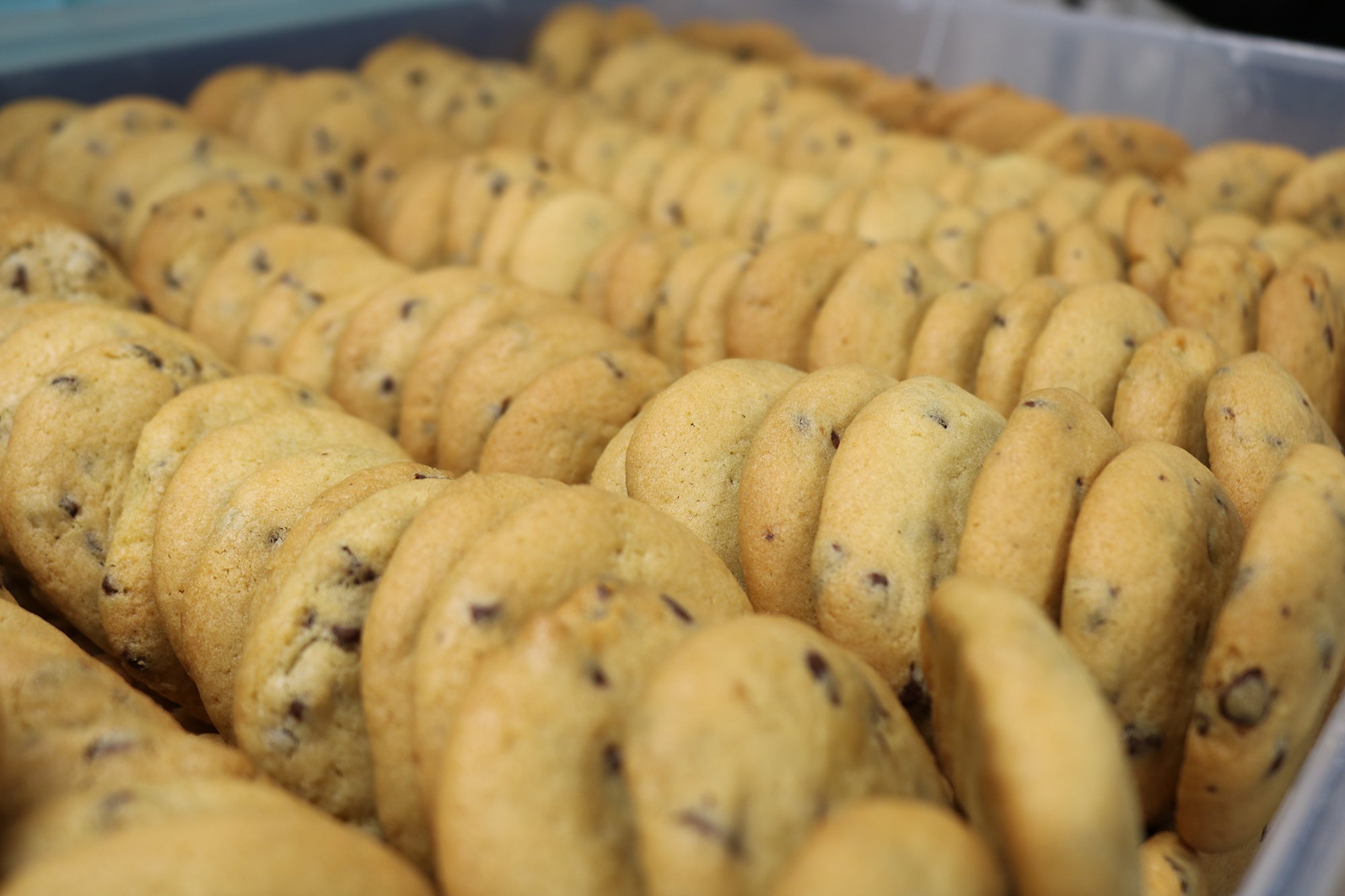 Organic Saint Roger Cookies