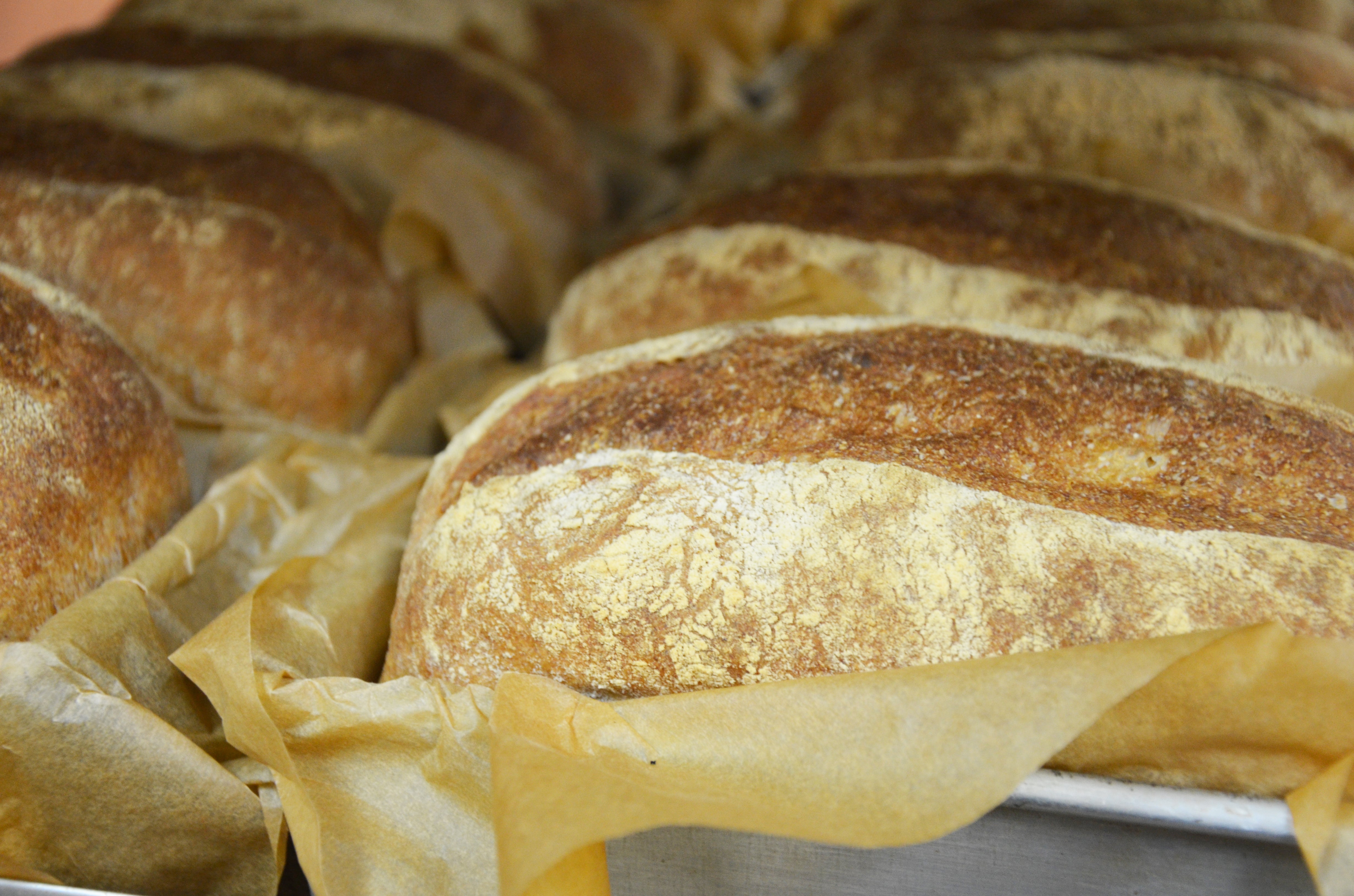 Organic Whole Wheat Bread